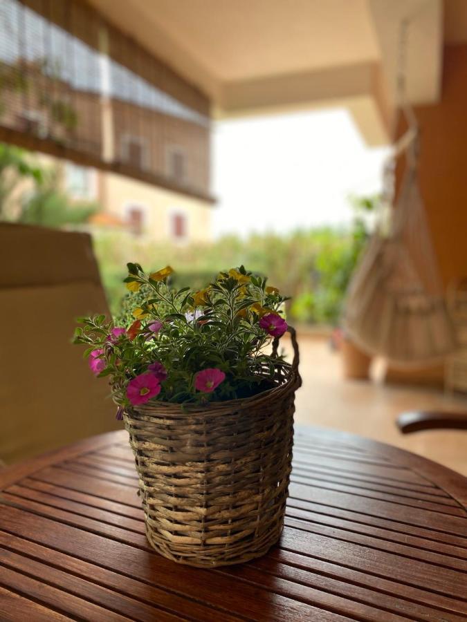 Apartman Rose-2025 Renovated Garden View Porec Exterior photo